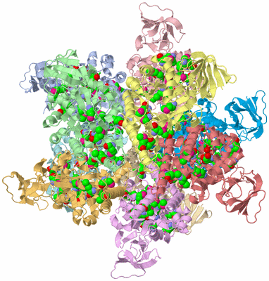 Image Asym./Biol. Unit - sites