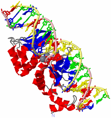 Image Asym./Biol. Unit