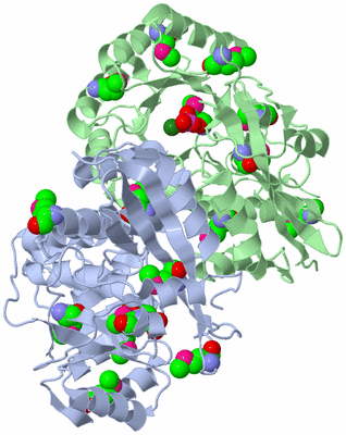 Image Asym./Biol. Unit