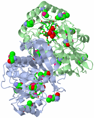 Image Asym./Biol. Unit - sites