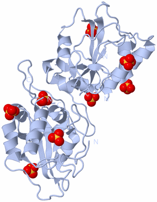 Image Biological Unit 1