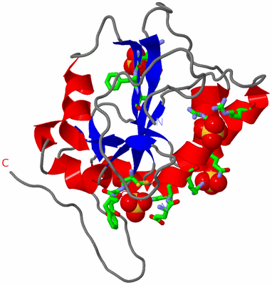 Image Asym. Unit - sites