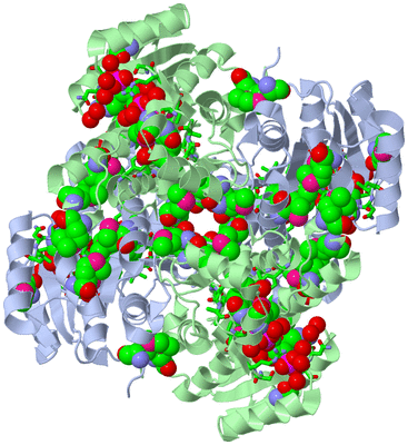 Image Biol. Unit 1 - sites