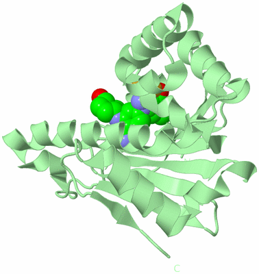 Image Biological Unit 2