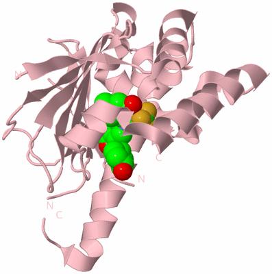 Image Biological Unit 3