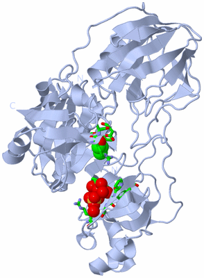 Image Biol. Unit 1 - sites