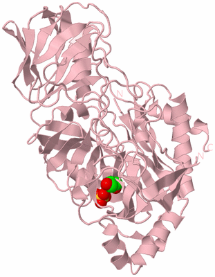 Image Biological Unit 3