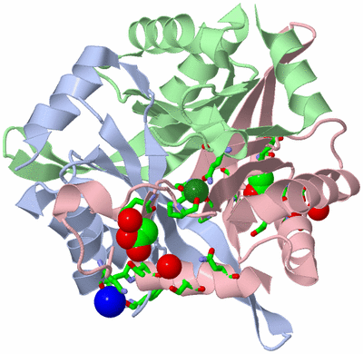 Image Asym./Biol. Unit - sites