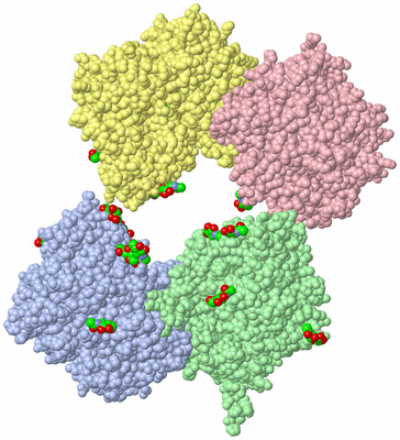 Image Biological Unit 1