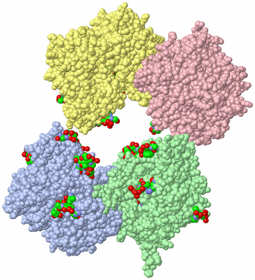 Image Biol. Unit 1 - sites