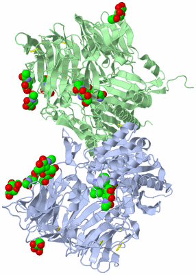 Image Biological Unit 2