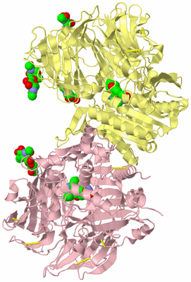 Image Biological Unit 3