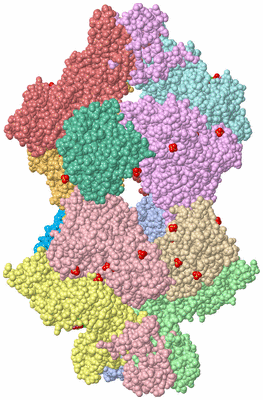 Image Asym./Biol. Unit