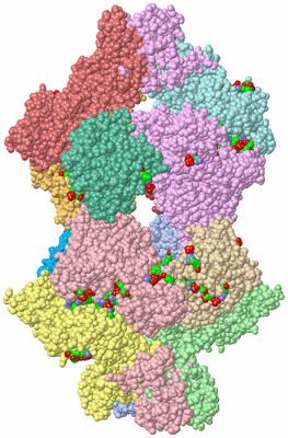 Image Asym./Biol. Unit - sites