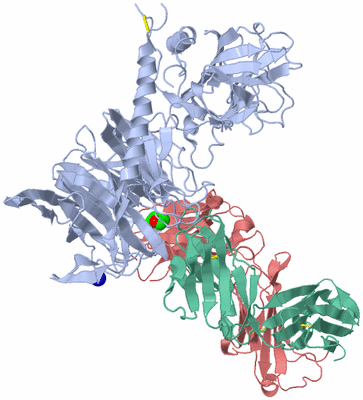 Image Biological Unit 1