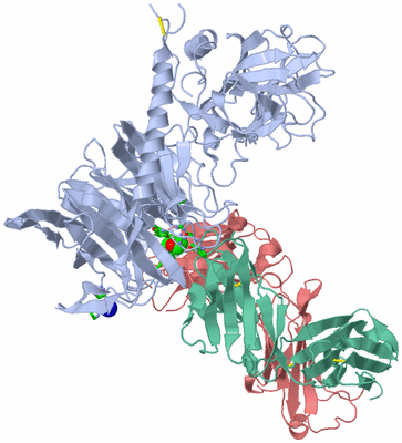 Image Biol. Unit 1 - sites