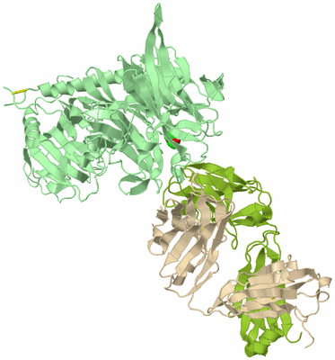 Image Biological Unit 2