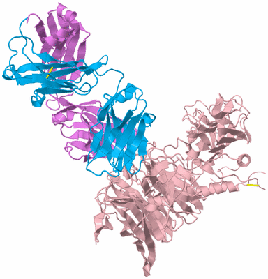 Image Biological Unit 3