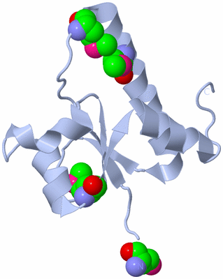 Image Biological Unit 1