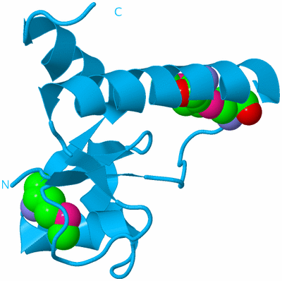 Image Biological Unit 10