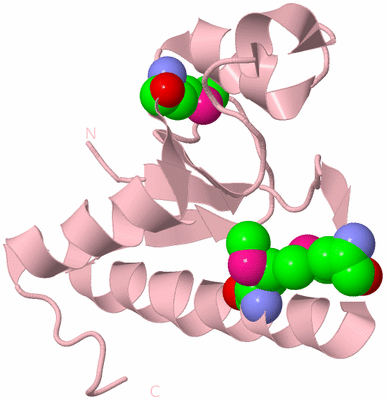 Image Biological Unit 3