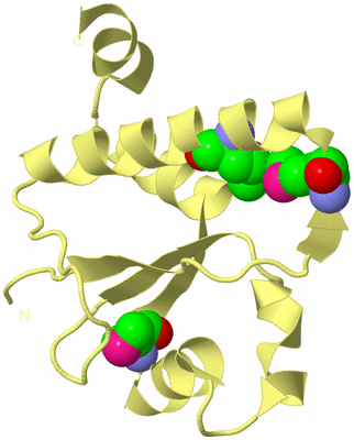 Image Biological Unit 4