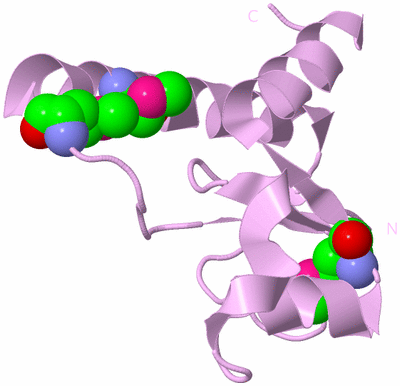 Image Biological Unit 5