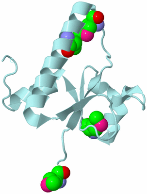 Image Biological Unit 6