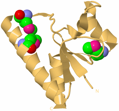 Image Biological Unit 7