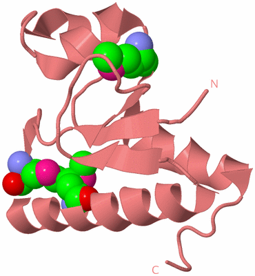 Image Biological Unit 8