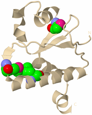 Image Biological Unit 9