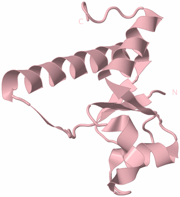 Image Biological Unit 3