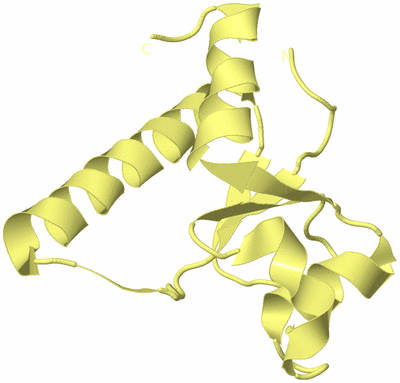 Image Biological Unit 4