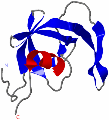 Image Asymmetric Unit