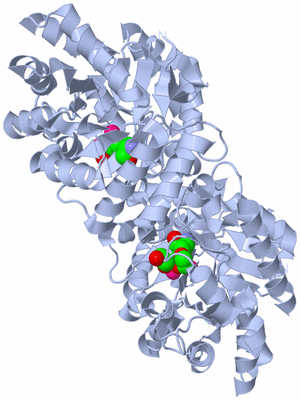 Image Biological Unit 1