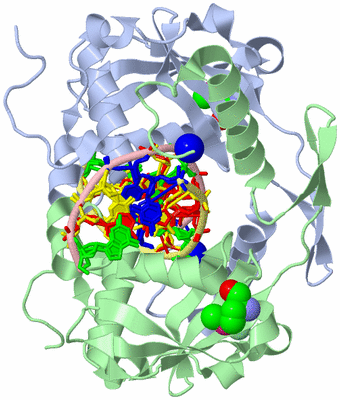 Image Asym./Biol. Unit