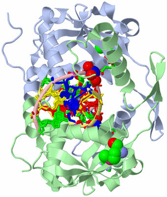 Image Asym./Biol. Unit - sites