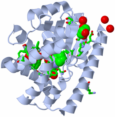 Image Biol. Unit 1 - sites