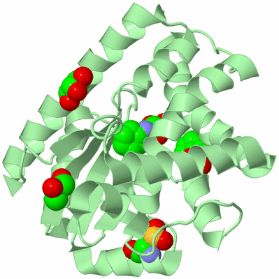 Image Biological Unit 2