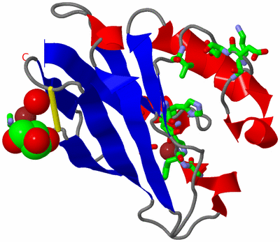 Image Asym./Biol. Unit - sites