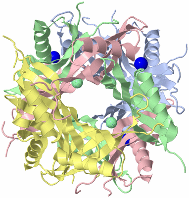 Image Biological Unit 1