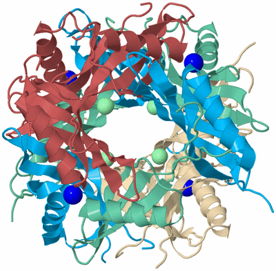 Image Biological Unit 3