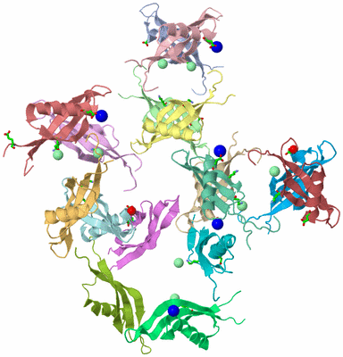 Image Asym. Unit - sites