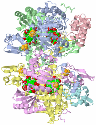 Image Asym./Biol. Unit