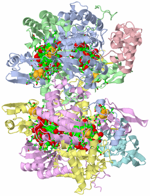 Image Asym./Biol. Unit - sites