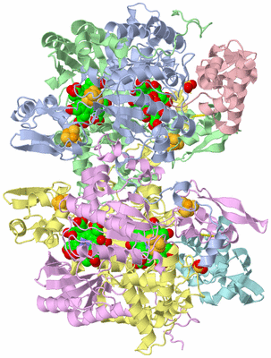 Image Asym./Biol. Unit