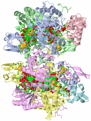 Image Asym./Biol. Unit - sites