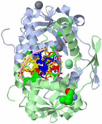 Image Asym./Biol. Unit