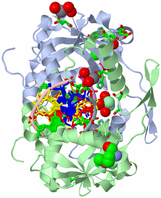 Image Asym./Biol. Unit - sites