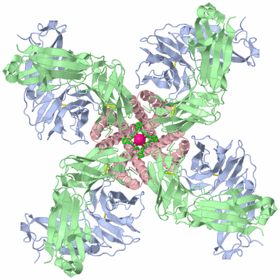 Image Biol. Unit 1 - sites